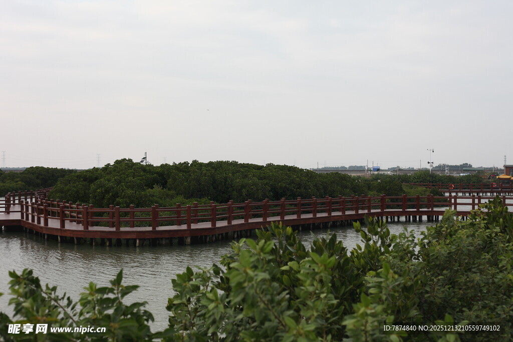 湖畔长廊绿意环绕美景