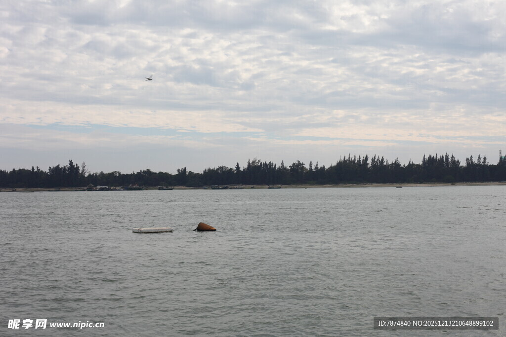 湖面孤舟与远方树林