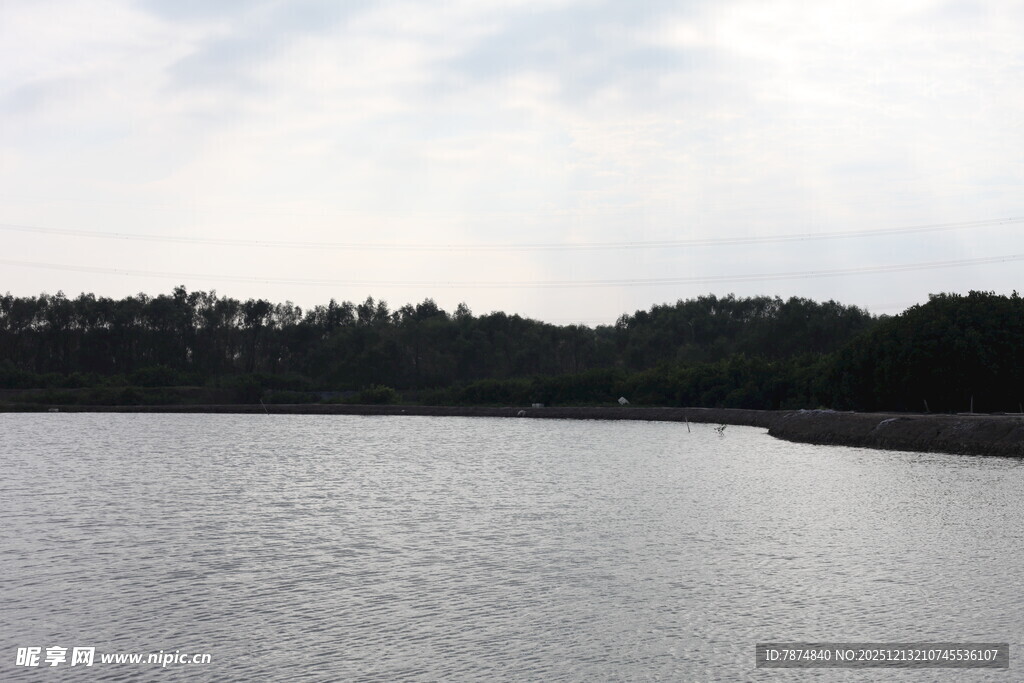 宁静湖畔自然风光