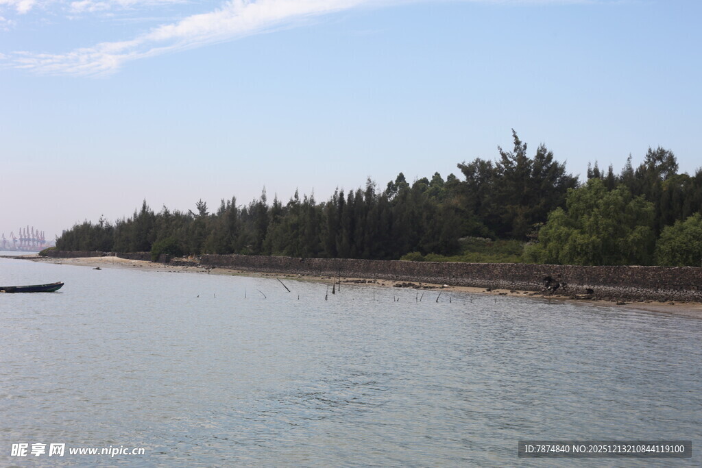 宁静河畔的葱郁树林