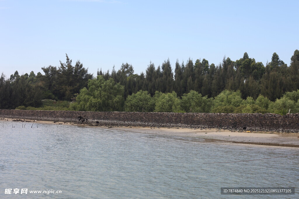岸边绿树环绕的宁静水域