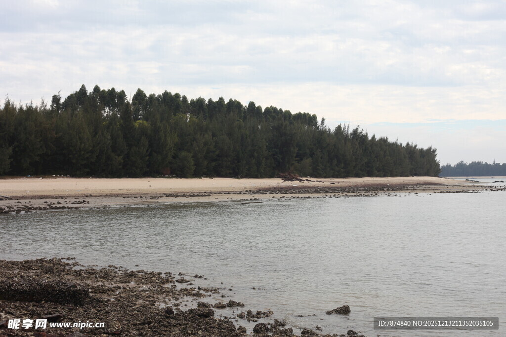 宁静湖畔沙滩与茂密树林