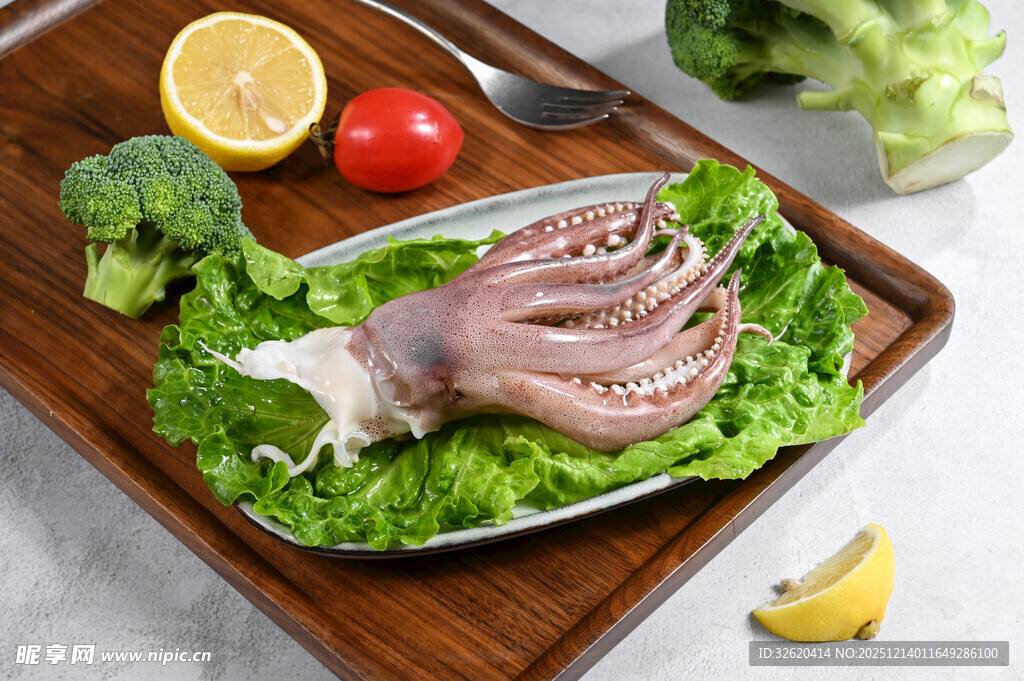 新鲜鱿鱼