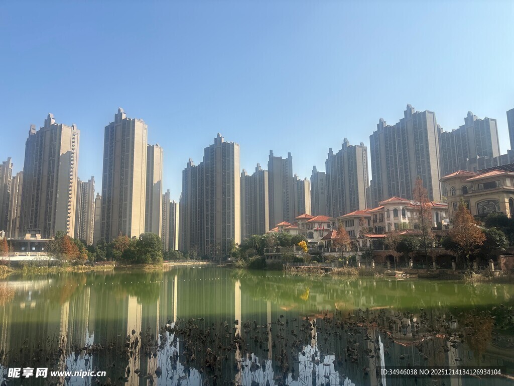 湖畔高楼林立的城市风光