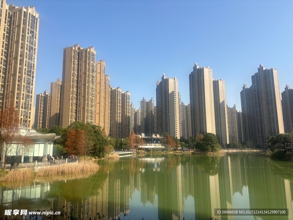 湖畔高楼林立的城市风光