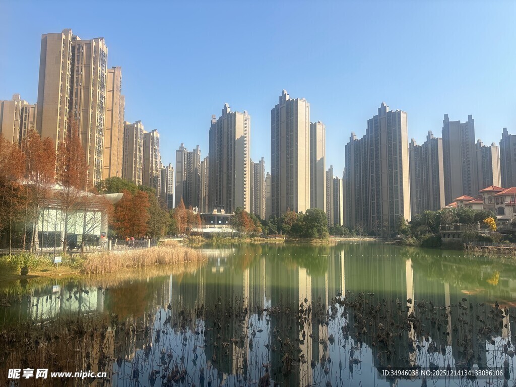 湖畔高楼林立的城市美景
