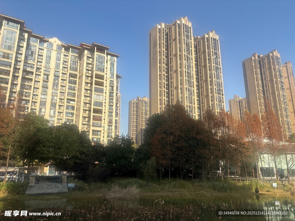 城市湖畔高楼景观