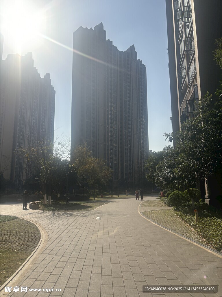 阳光照耀下的城市道路