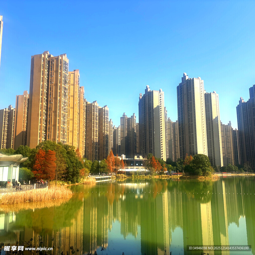 湖畔高楼林立的城市风光
