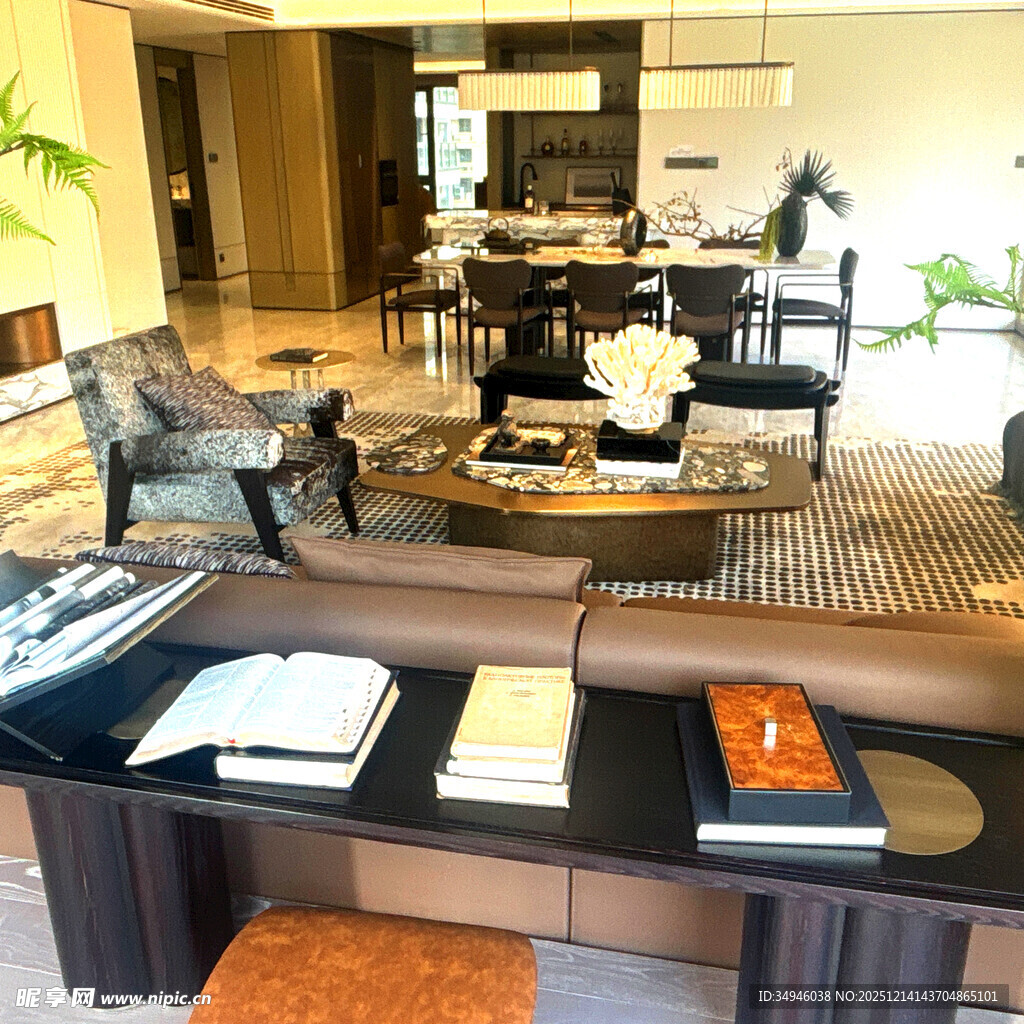 现代奢华客厅家居展示