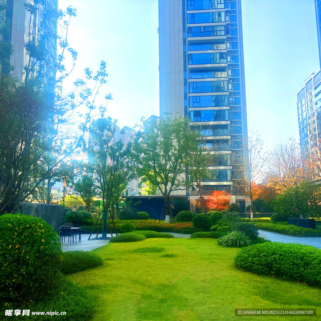 都市中的绿意花园景观