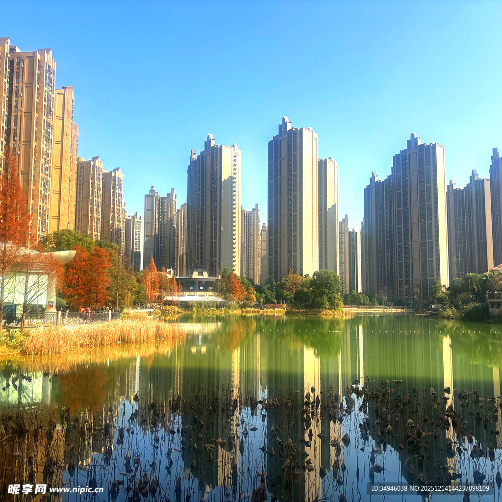 湖畔高楼林立的城市风光