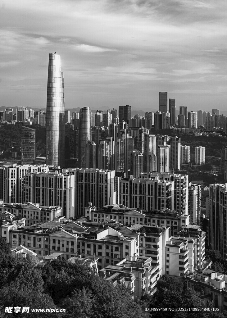 深圳城市天际线黑白景观