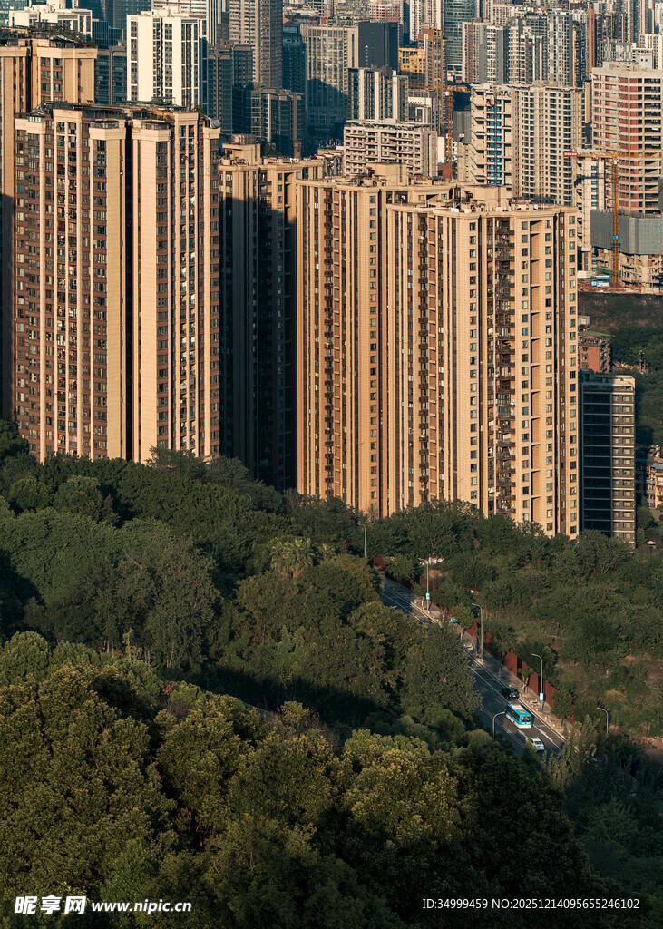 城市高楼与繁茂树林景观