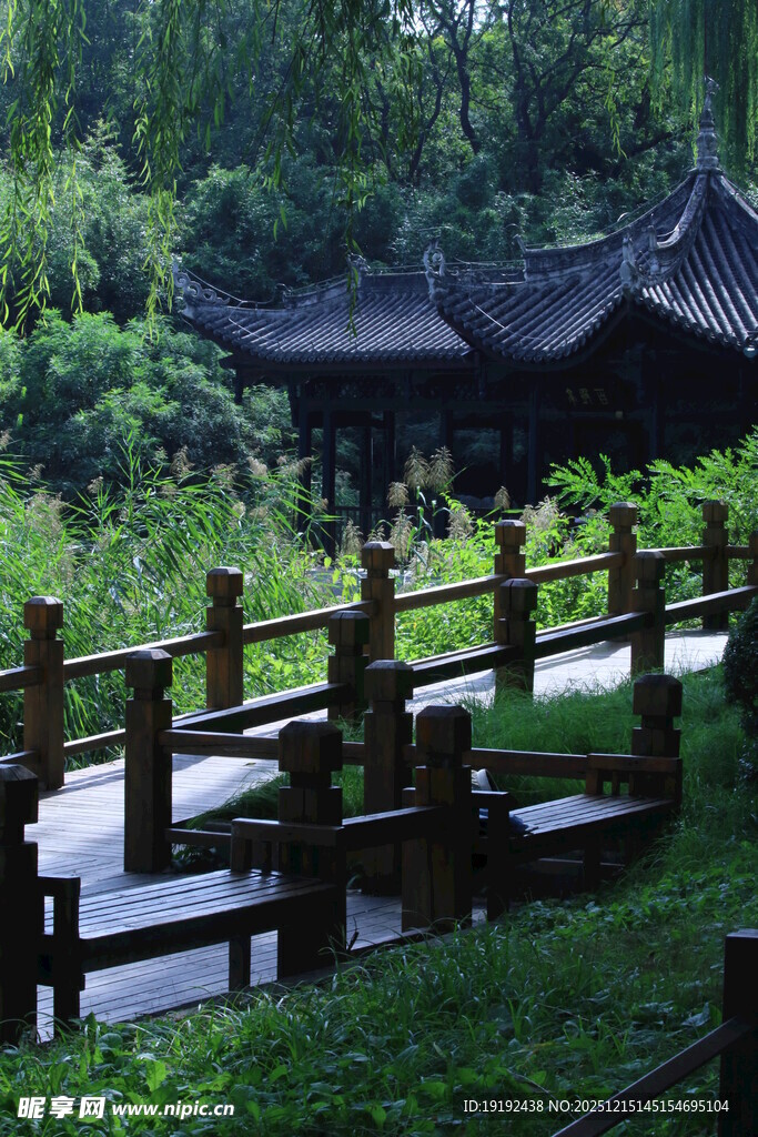 公园风景  