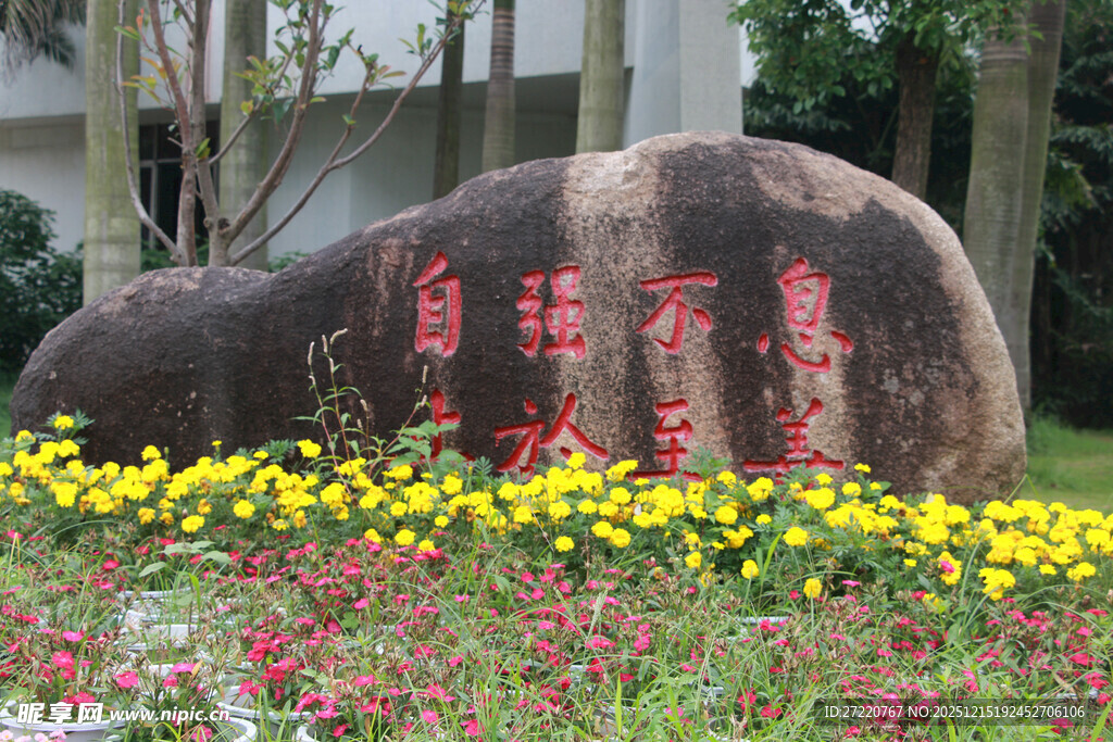 校园刻字景石 繁花相伴 厦门大