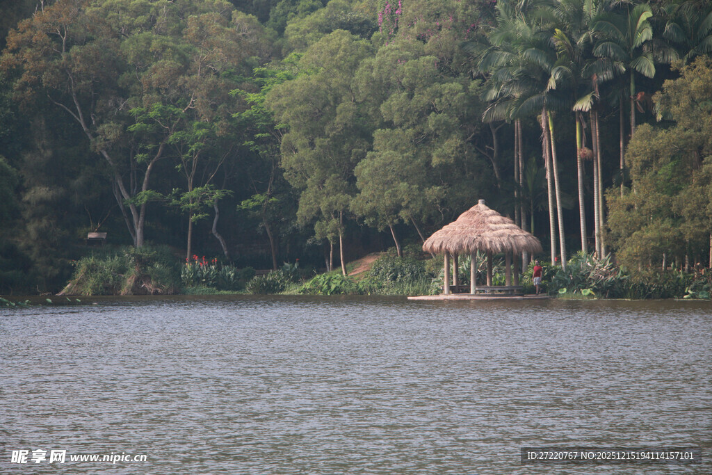 湖畔草亭 厦门大学