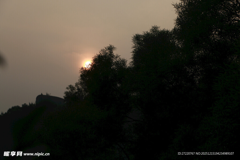 黄昏时分树林间的落日 厦门