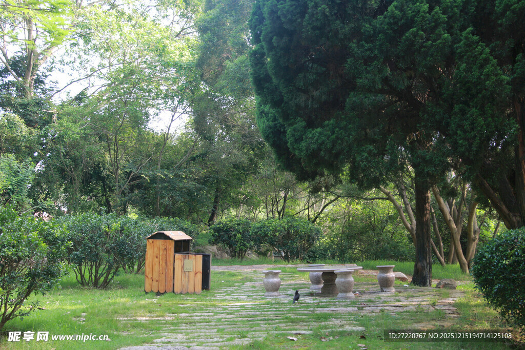 林间休憩小景 厦门