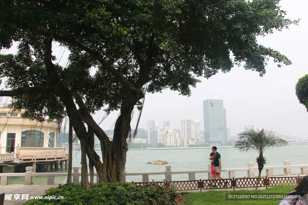 城市海边绿树旁的休闲景致 厦门