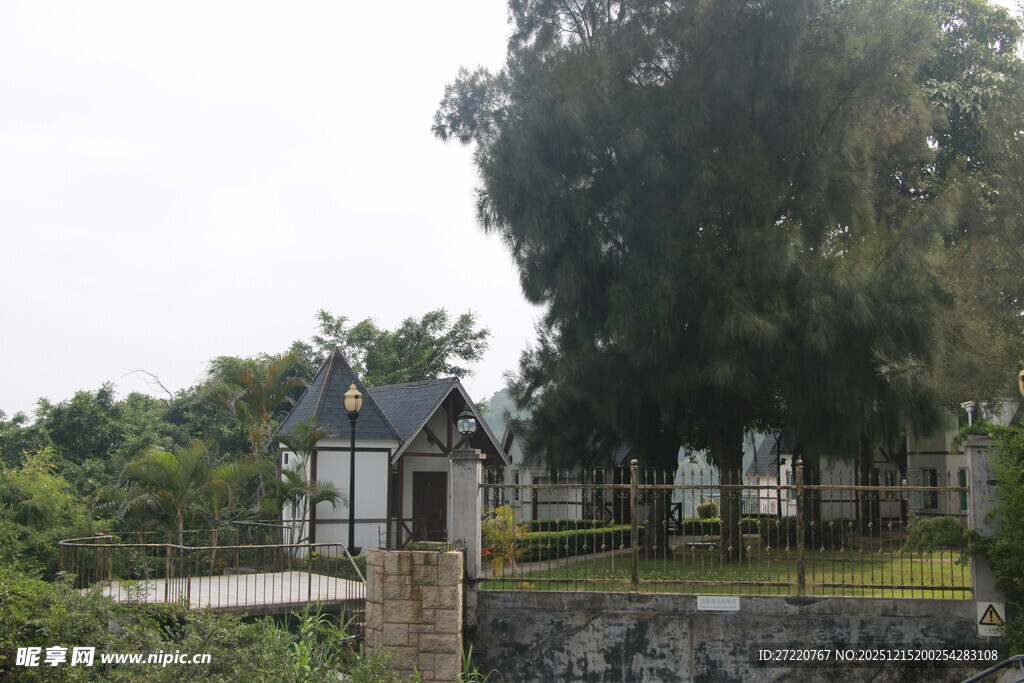 乡村小屋旁的葱郁绿树 厦门