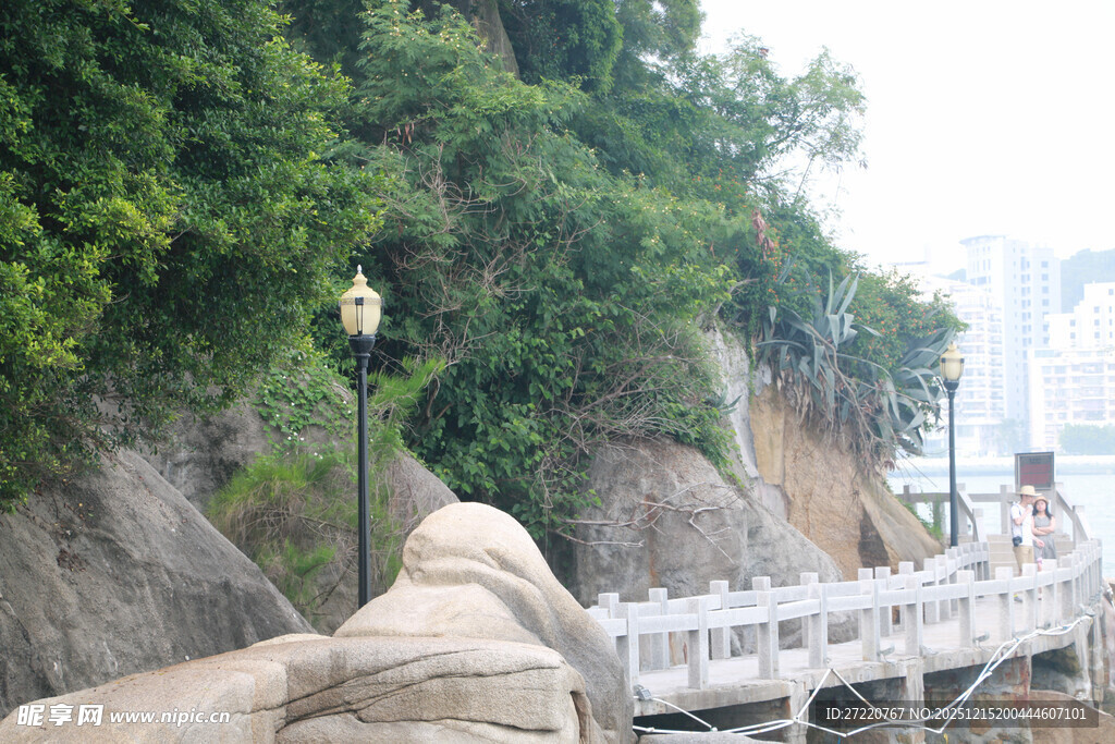山间栈道旁的绿植与路灯 厦门
