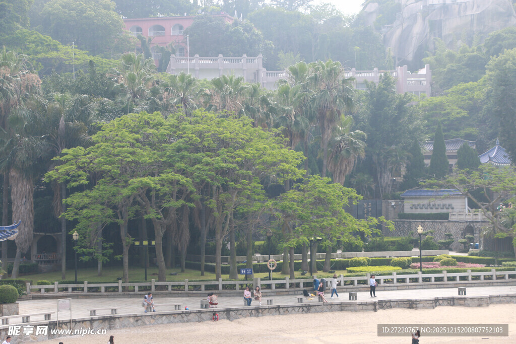 城市中的绿意公园景观 鼓浪屿