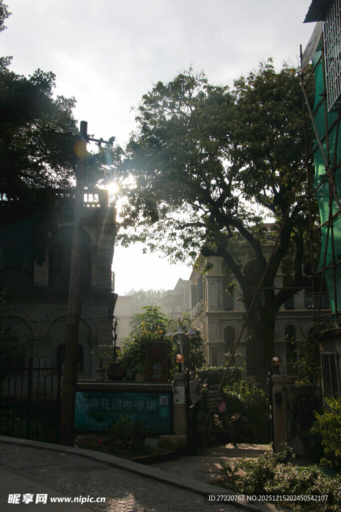 阳光洒落绿树环绕的街道 鼓浪屿