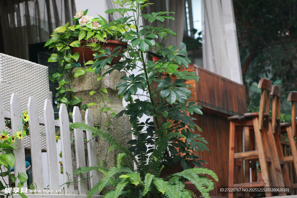 庭院绿植与木质座椅景观