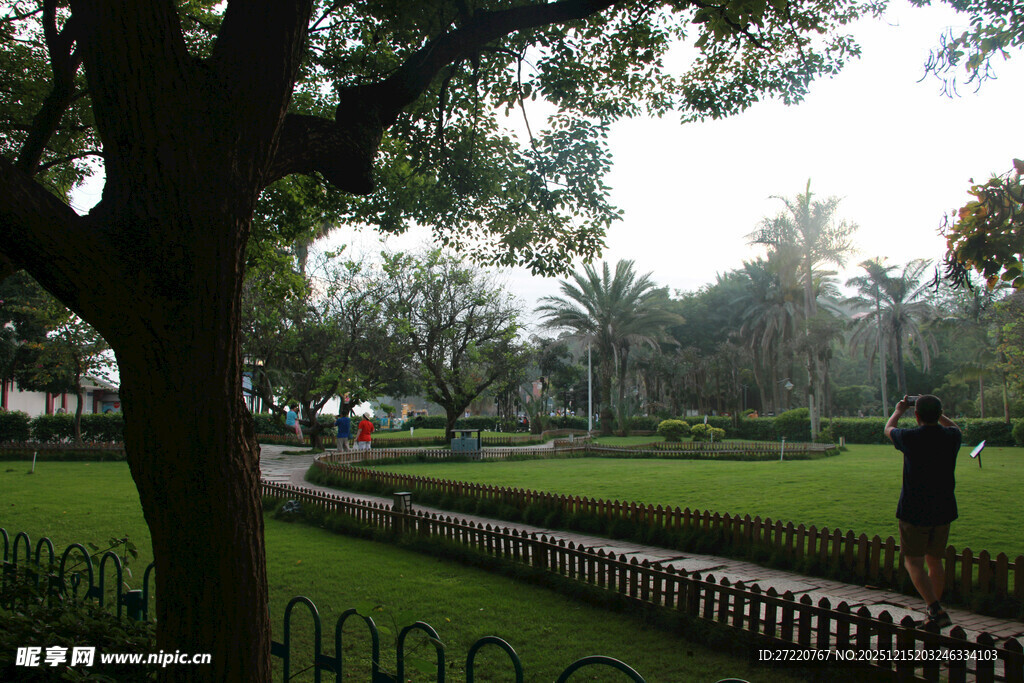 厦门公园绿意景观 