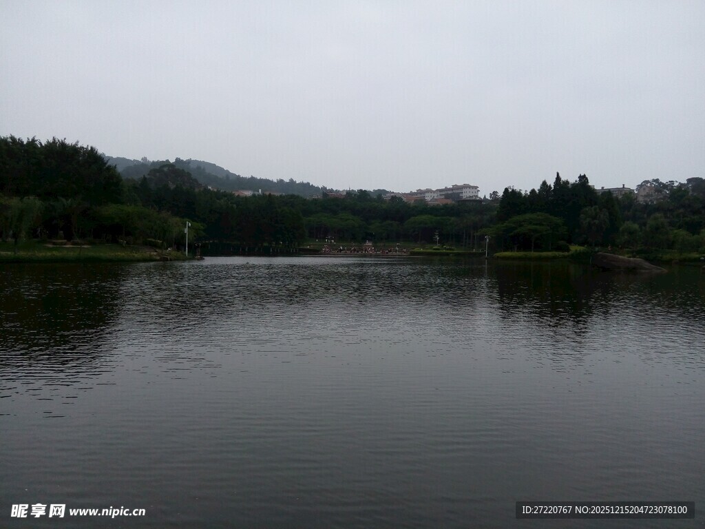 宁静湖泊与周边葱郁树林 厦门