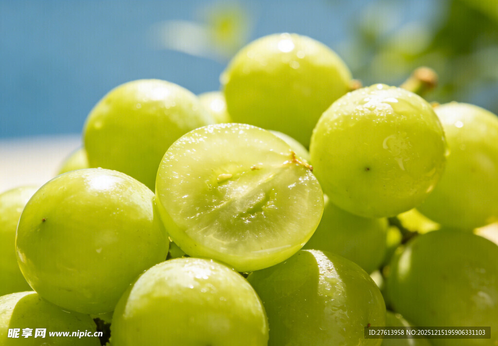 青葡萄特写
