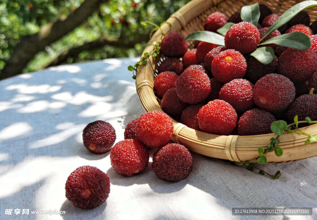 竹篮中的新鲜杨梅
