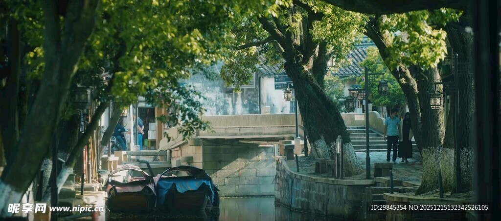 林荫下的静谧街道