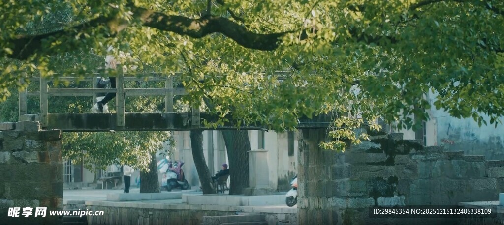 秋日湖畔繁茂树木景观