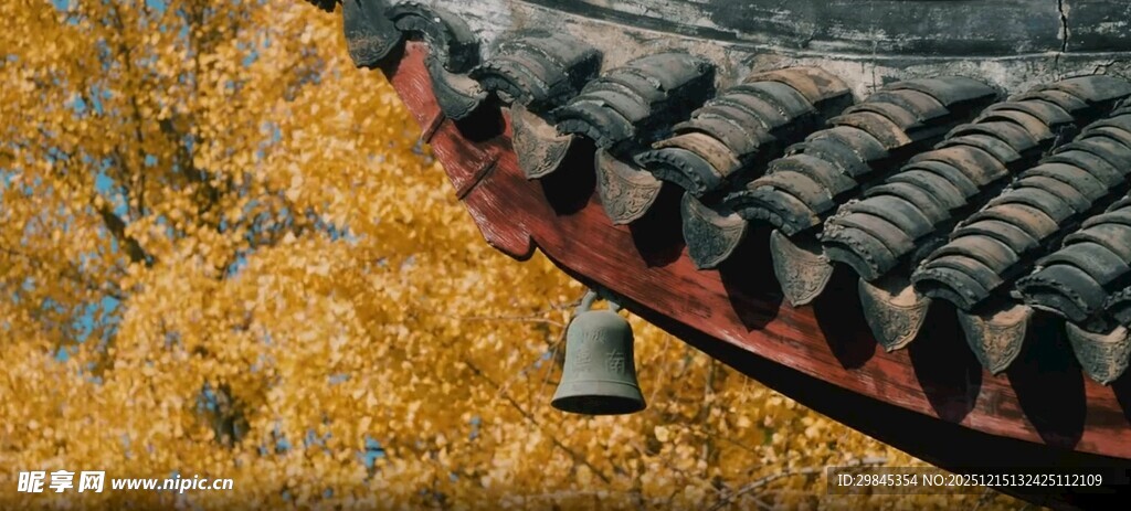 秋日屋檐下的金黄树叶