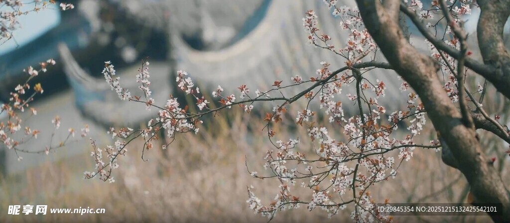 冬日树枝下的模糊景象