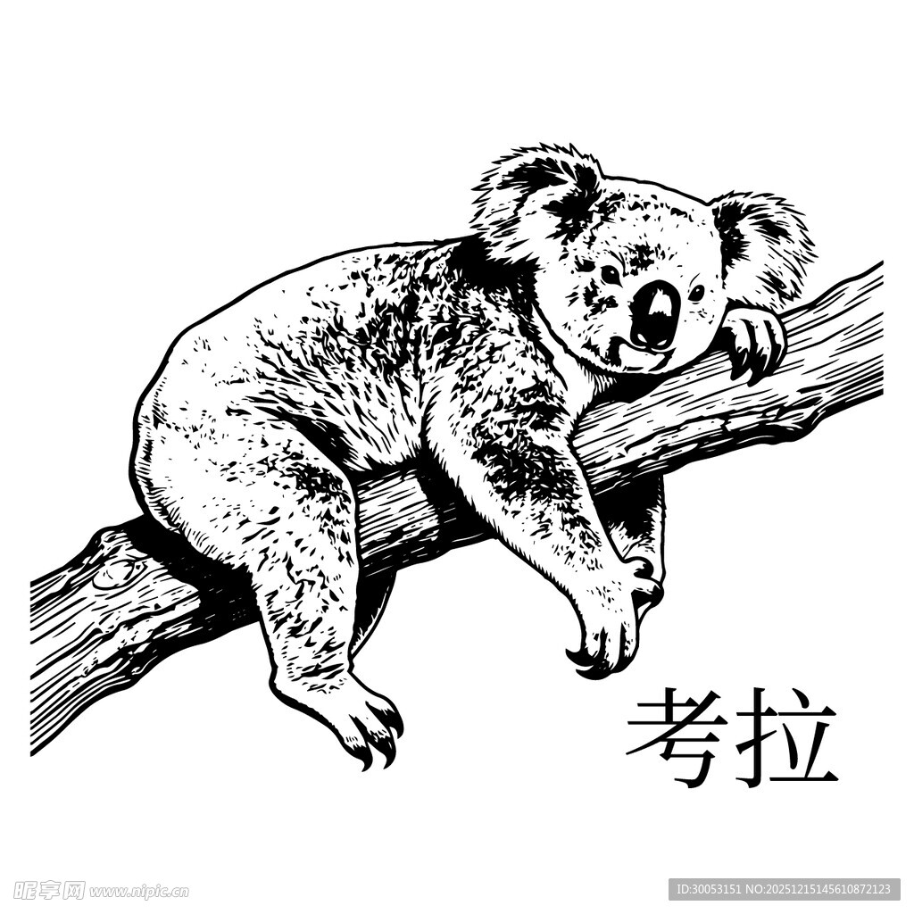 树枝上休憩的考拉