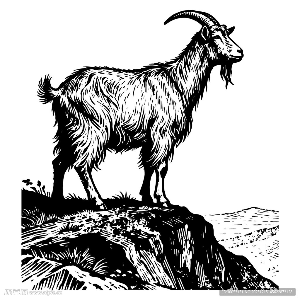 山羊立于山巅