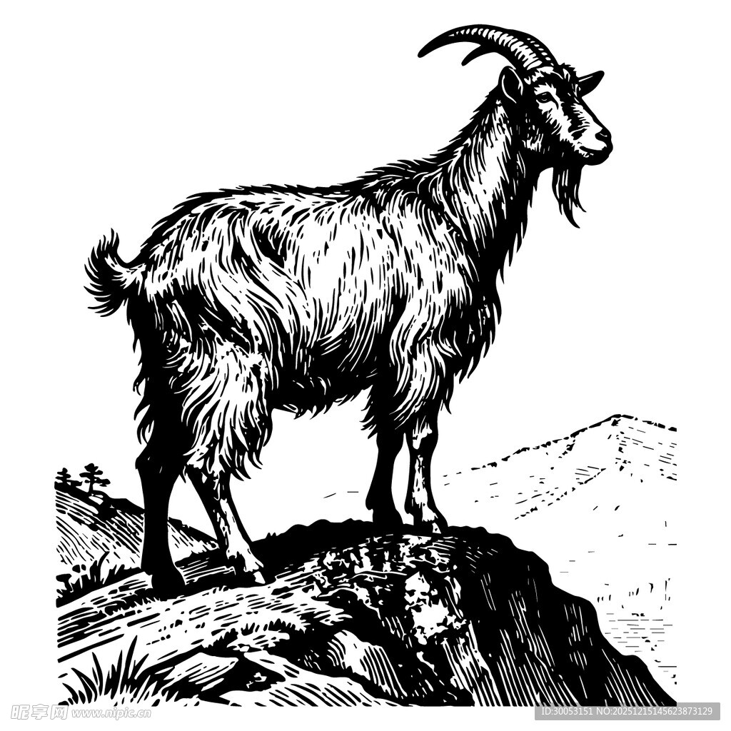山羊立于山巅