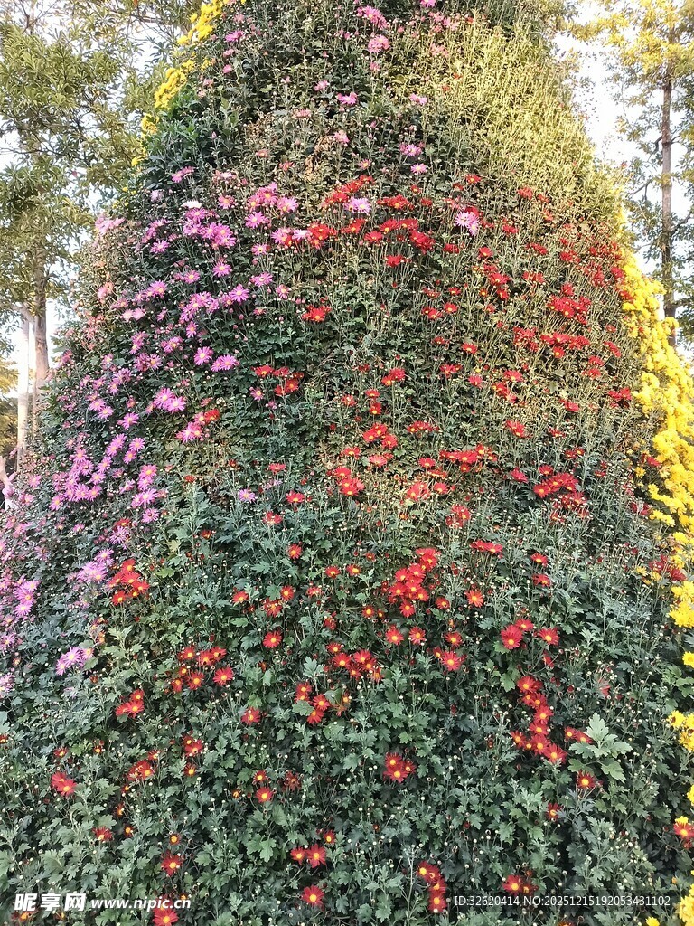多彩花卉组
