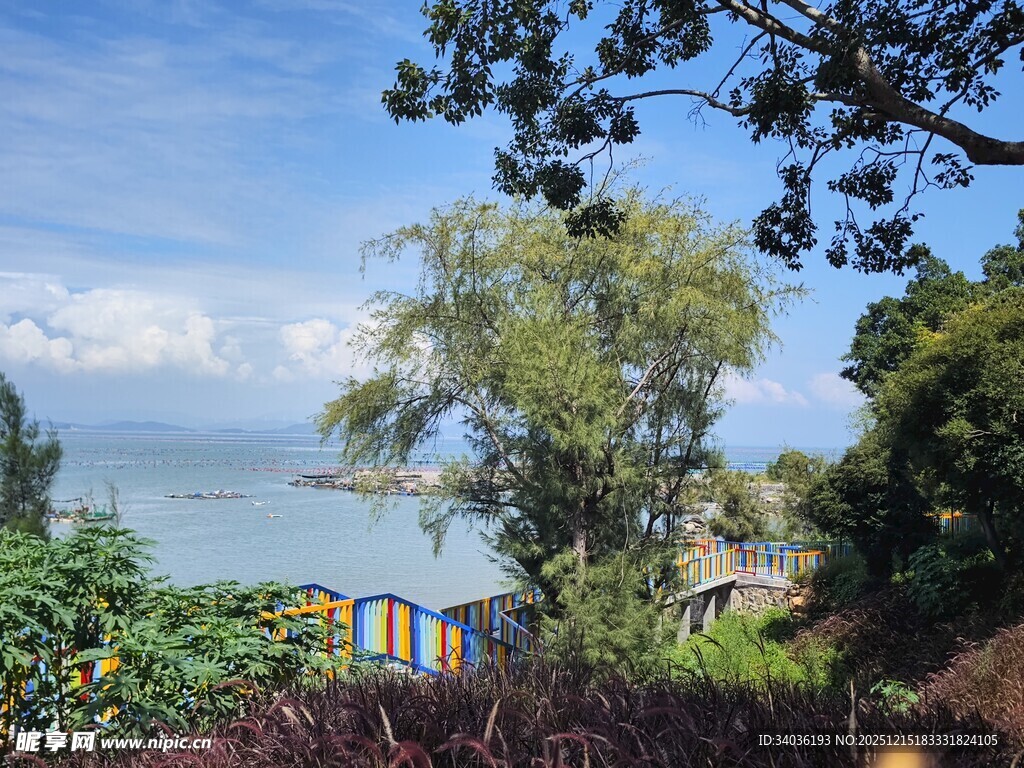 海边绿荫下的多彩小屋