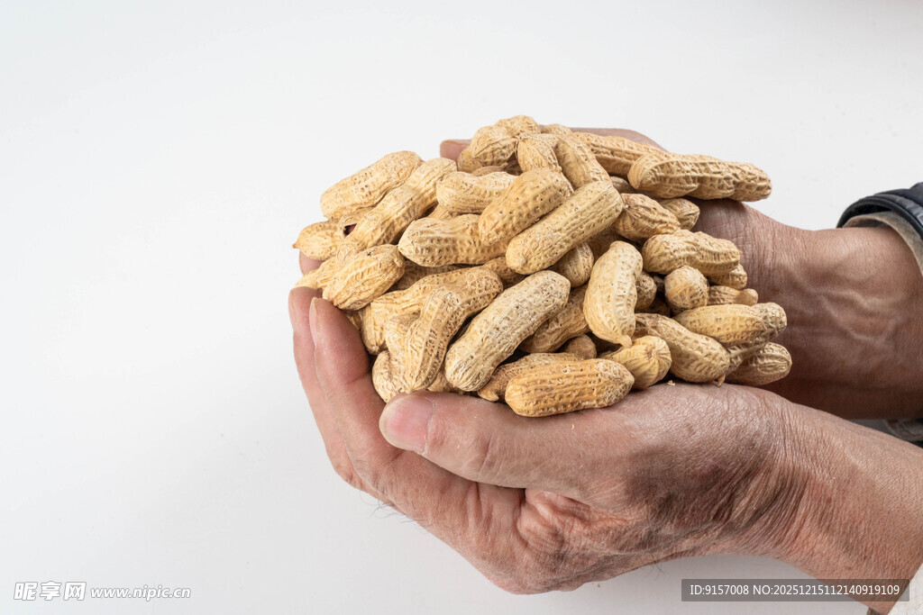手中捧着的美味腰果