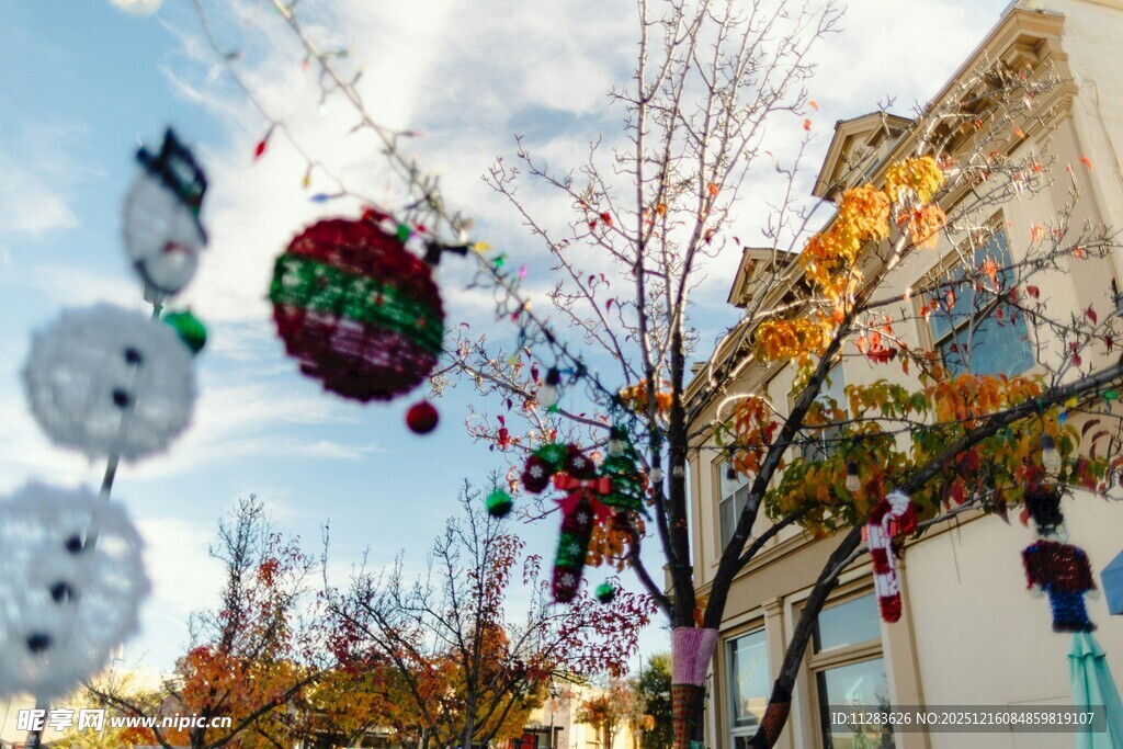 街道上的节日装饰景观