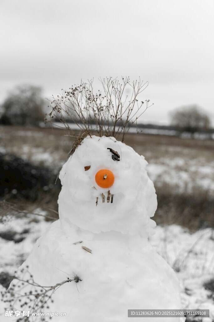 田野中的可爱小雪人