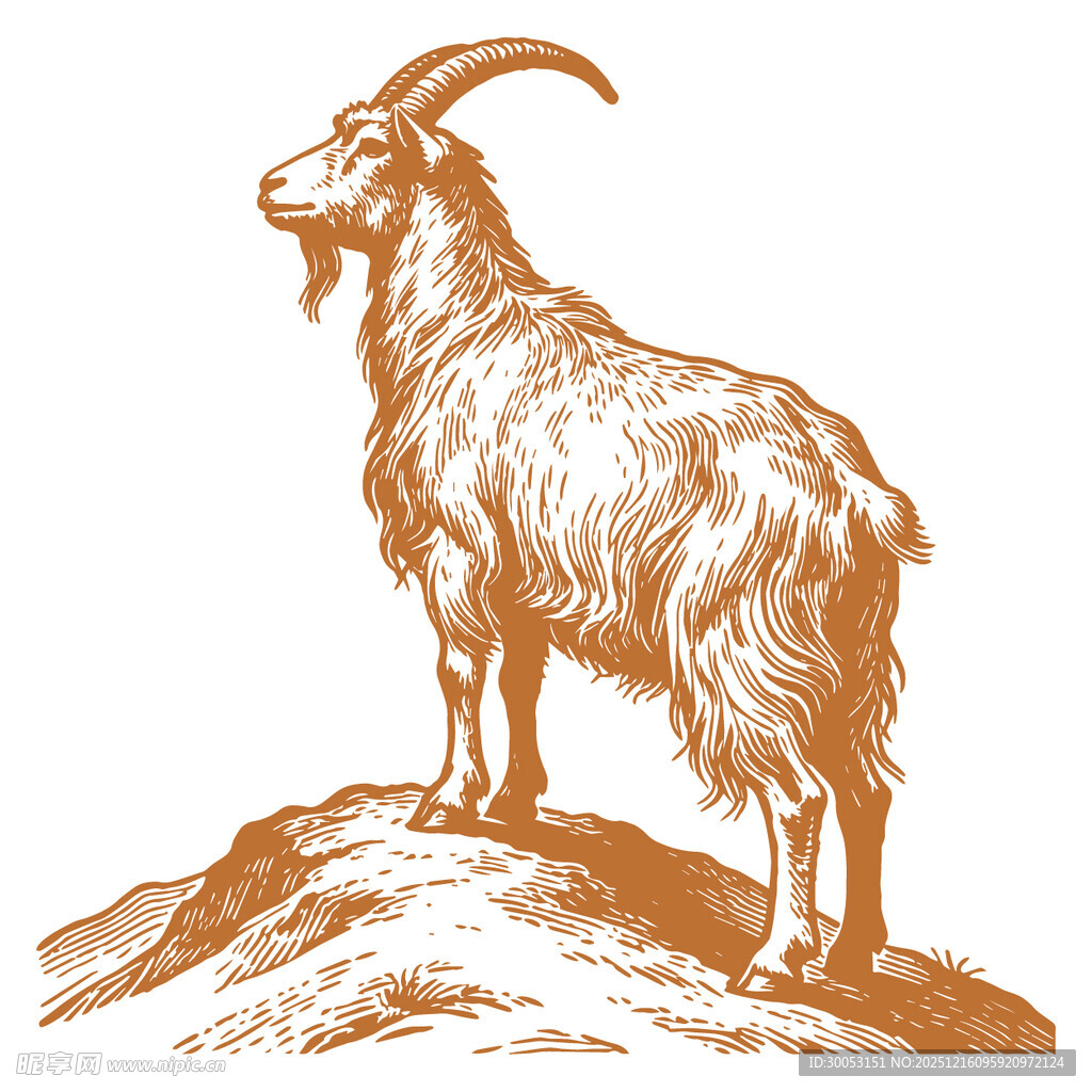 站立于岩石上的健壮山羊