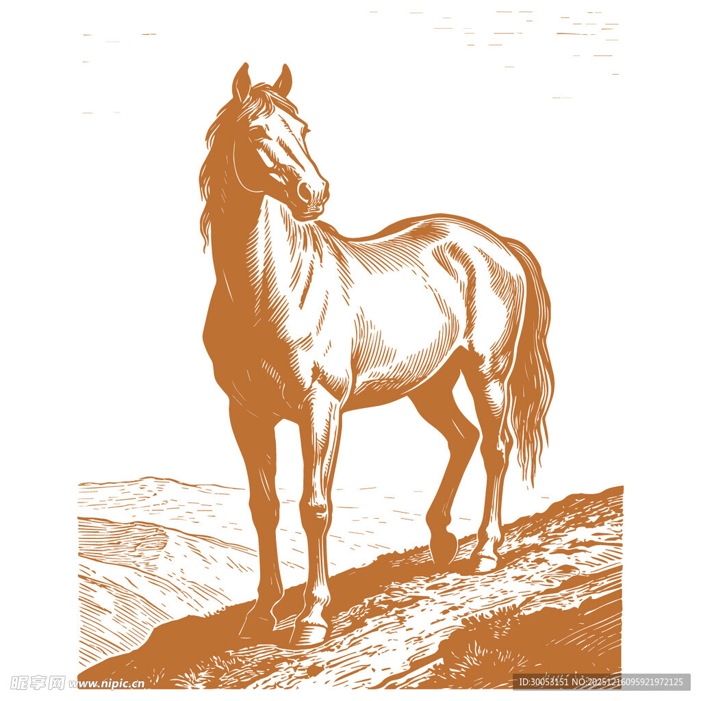 站立于山丘的俊逸骏马