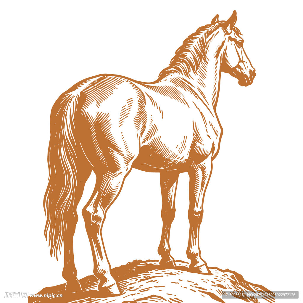 站立于石上的俊逸骏马