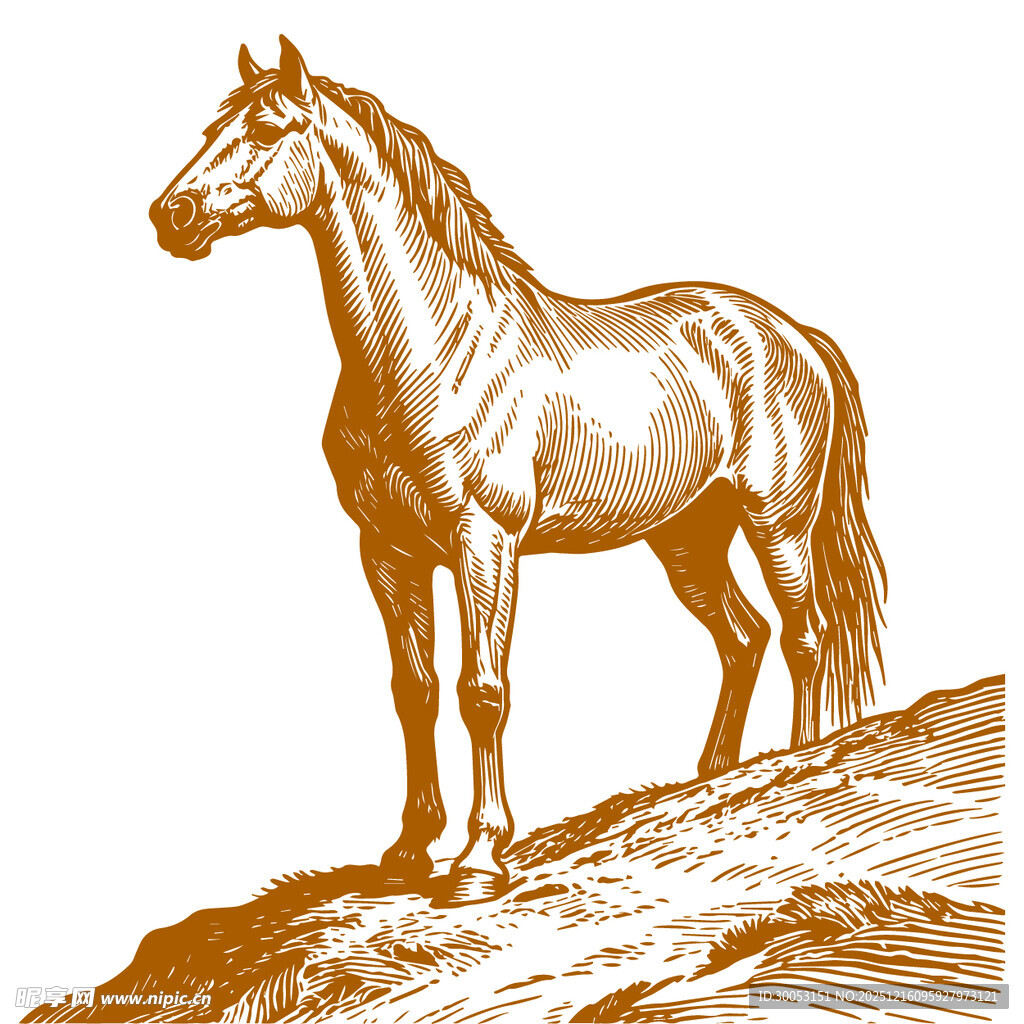 站立山巅的骏马