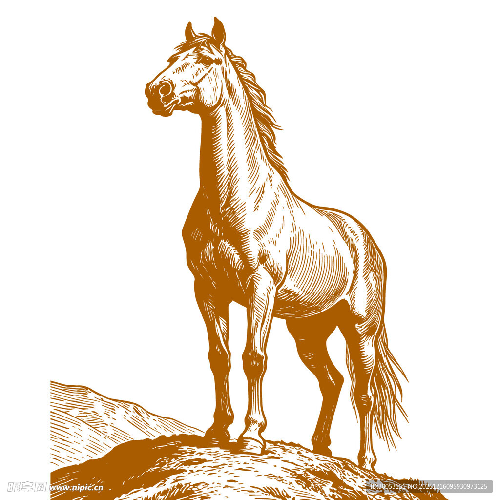 站立于山巅的俊逸骏马